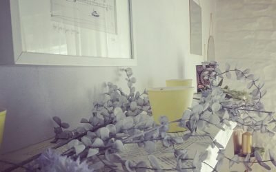 looking back on lockdown…