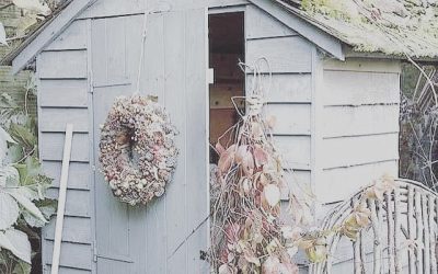 garden reno : update 4