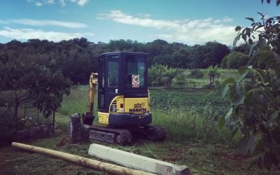 the saga of the internet…