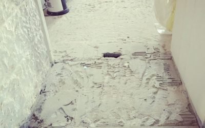 kitchen reno : update 3