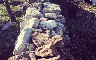 garden reno : update 2