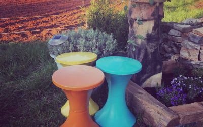 garden reno : update 3