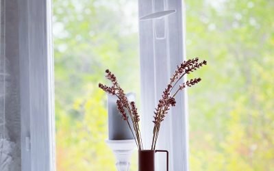 minimalist colour palette