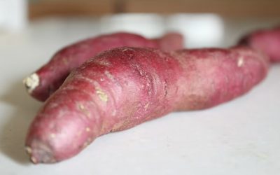 autumnal food : spinach & sweet potato bake