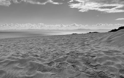 punta paloma dunes : tarifa : andalucia