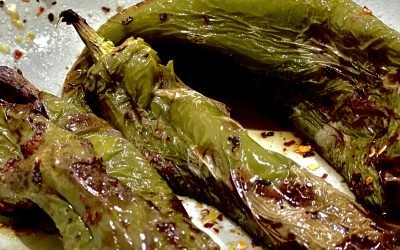 cooking : air fryer style