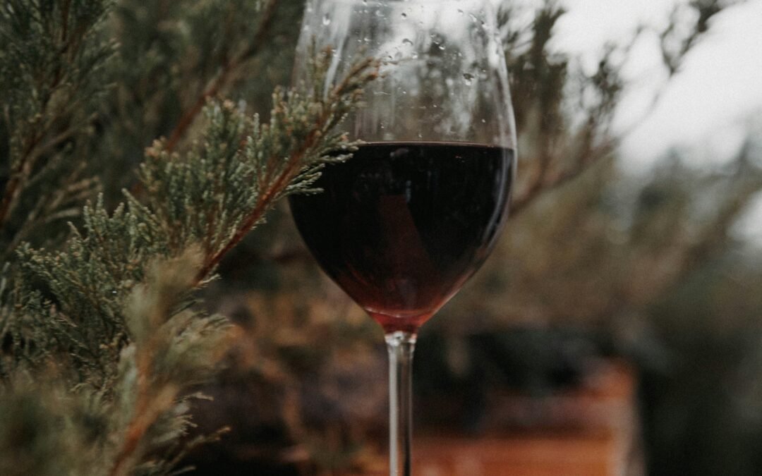 benvenuti winery : kaldir : istria