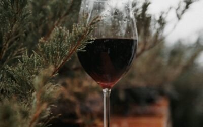 benvenuti winery : kaldir : istria