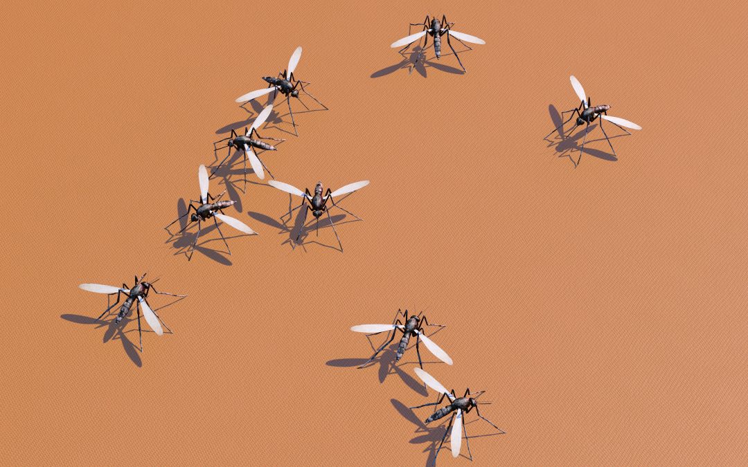 the best bug zapper we’ve found so far…